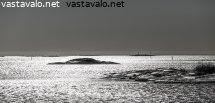 helsingin-edustan-luotoja