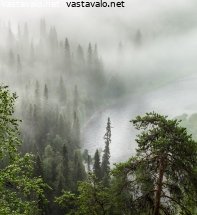 sumuinen-aamu-laaksossa
