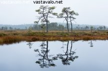 syysaamun-heijastuksia