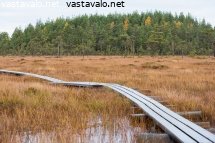ulkoilureitti