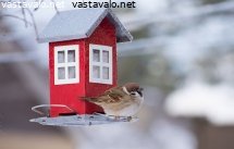 hei-jatka-lisaa-ruokaa