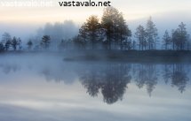 kohti-aamua