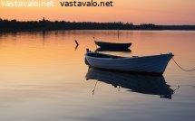 veneet