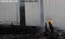 ennallistamispolton-jalkeen