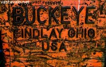 buckeye