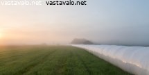 pellolla-auringonnousun-aikaan