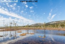 kevainen-tunturiaapa