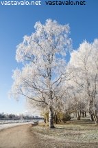 syksyisella-rantatiella