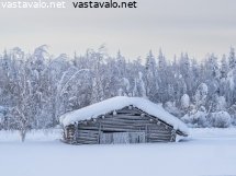harmaa-lato-harmaassa-maisemassa