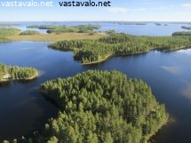 valkealampi-koitereen-lammassaaressa