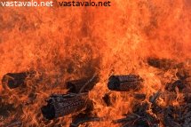 kaski-palaa-kolin-kansallispuistossa