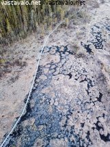 riihinevan-polku-pakkasaamuna