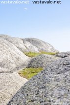 silokalliota-faerderin-kansallispuistossa-norjassa