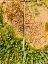 pitkospuut-salamajarven-kansallispuistossa