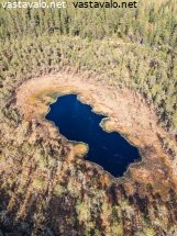 pahakauranen