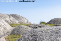 silokalliota-faerderin-kansallispuistossa-norjassa