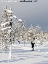 hiihtamassa