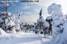 hiihtolatu-valtavaaran-kupeessa