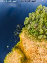 pieni-koirajarven-rantaa