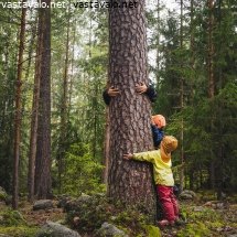 yhta-luonnon-kanssa