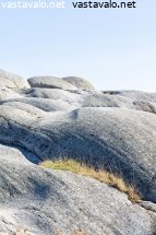 silokalliota-faerderin-kansallispuistossa-norjassa