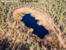 pahakauranen