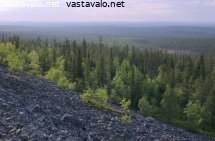 kesakuun-ilta-kivitunturilla