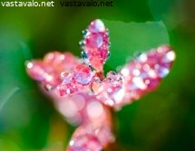 valopisaroita