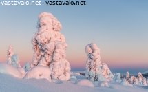auringonlaskun-varit-tykkypuissa