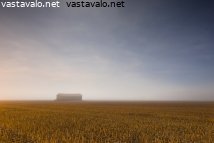 lato-kuunvalossa