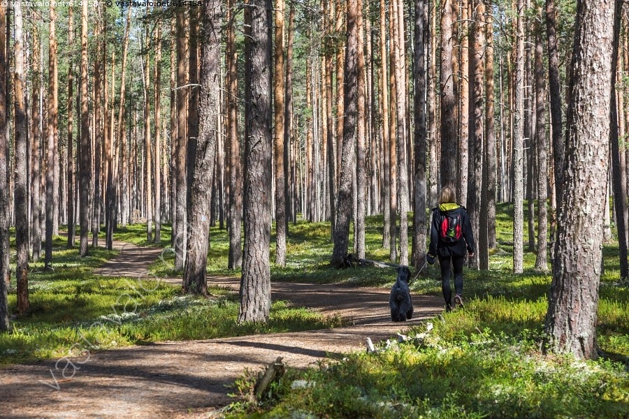 kuva-kaverukset-nauttimassa-luonnosta-rokuan-kansallispuisto-nuori