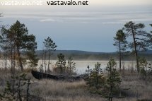 vene-odottaa