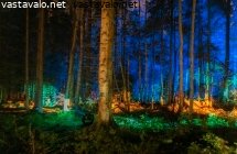 valotapahtuma-valopolku-vanhassa-metsassa
