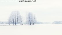 talvinen-nakyma-puistosta