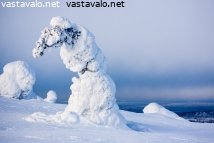 keskitalvi