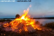 kesayon-kokko