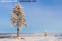 suuri-manty-tunturissa