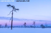 pakkasilta-suolla