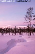 kaamoksen-vari