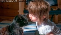 kissavanhuksen-viimeinen-kesa