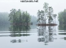 jarvimaisema
