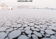 jaalautat