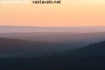 metsaa-riittaa