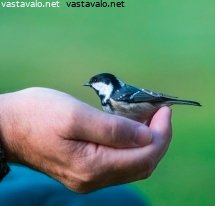 turvassa