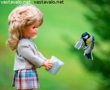 talitiainen-voitti-pelkonsa