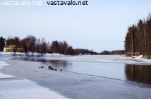 mierolansalmi