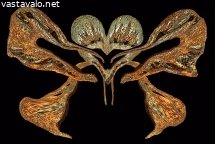 ruosteessa