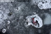 polkupyora-jaalla