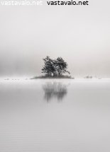 saari-sumussa