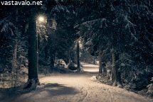 talvi-metsatiella